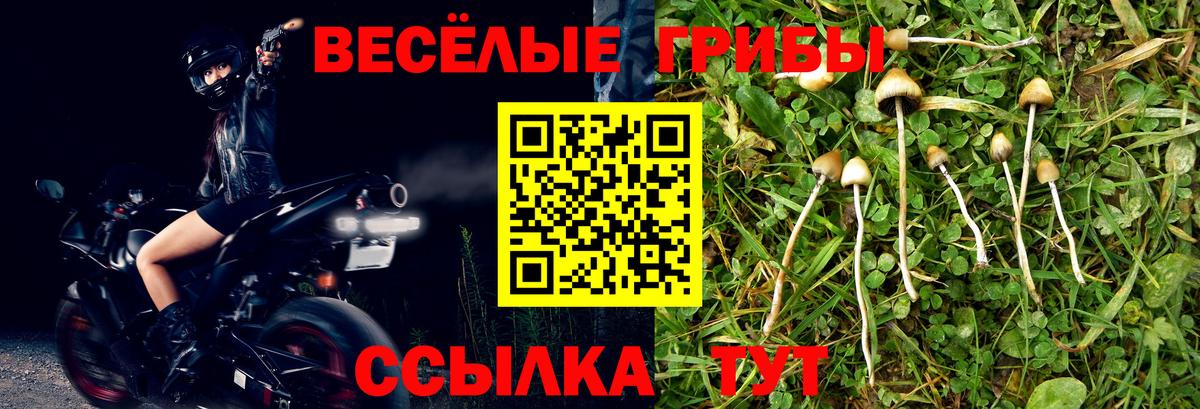 Псилоцибиновые грибы MAGIC MUSHROOMS Гуково